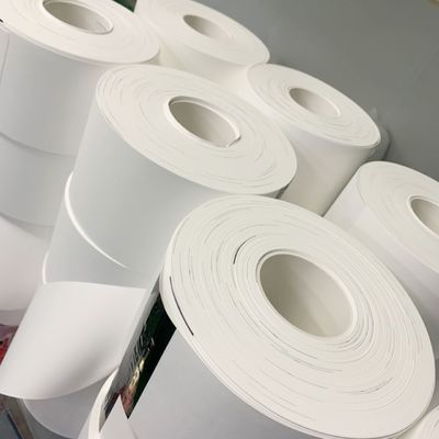 คุณภาพ  0.1µM - 5µM Pore Size Nylon (Polyamide) Membrane Filter Circles โรงงาน